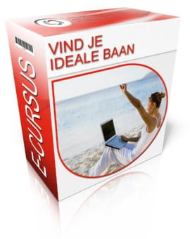Box 2011 Ideale Baan 3d Leuker Werk