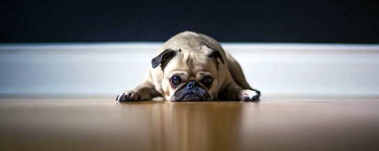 kan-jij-omgaan-met-tegenslagen