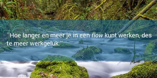 Meer tijd in een flow, meer werkgeluk