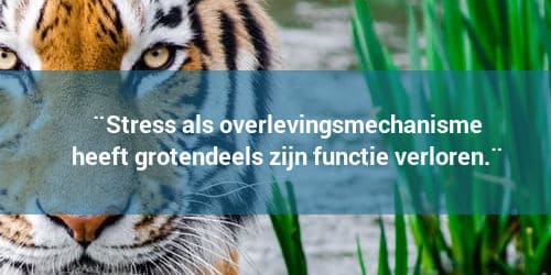 Stress als modern overlevingsmechanisme