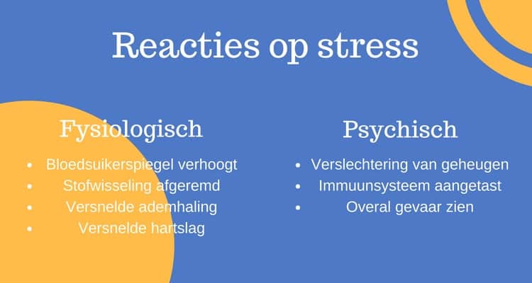 Fysiologische en psychische reacties op stress